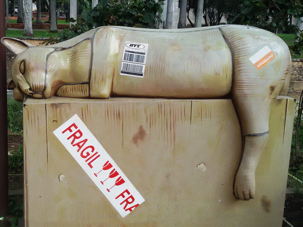 Juan José Garcia Cano's Fragile Cat Statue in Cali, Colombia