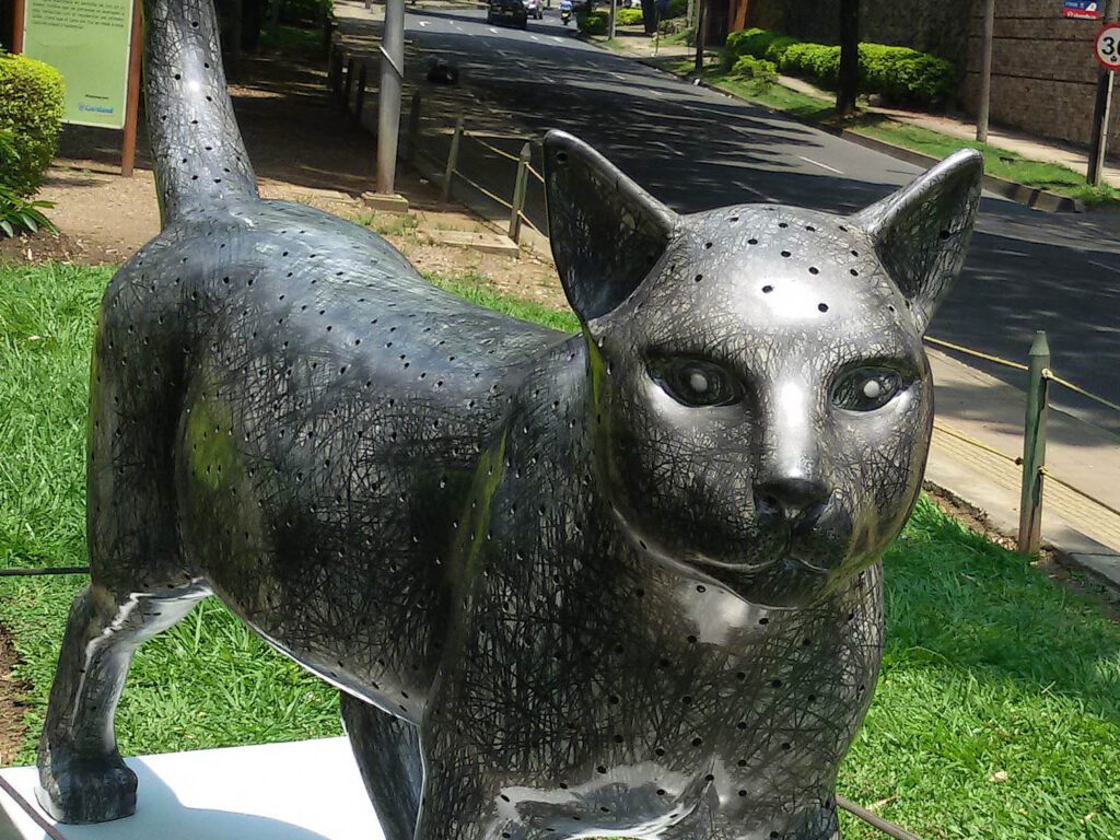 Cat Statue in Cali, Colombia