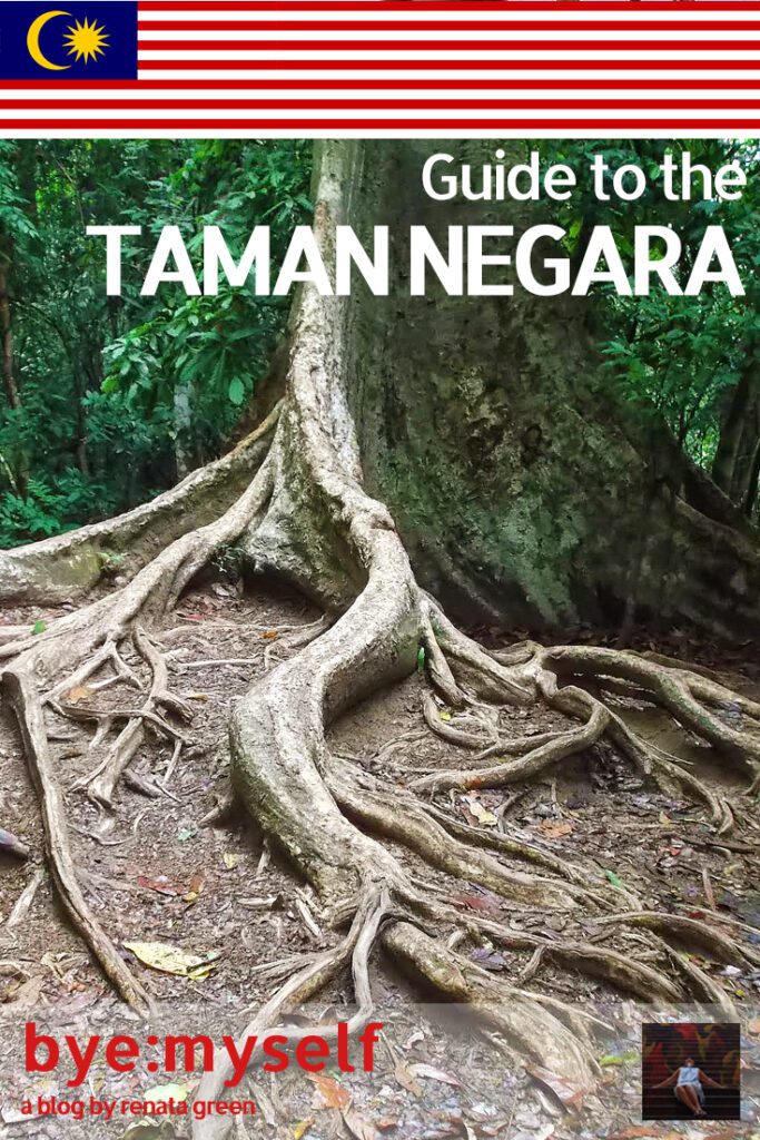 Pinnable Picture for the Post on the Taman Negara