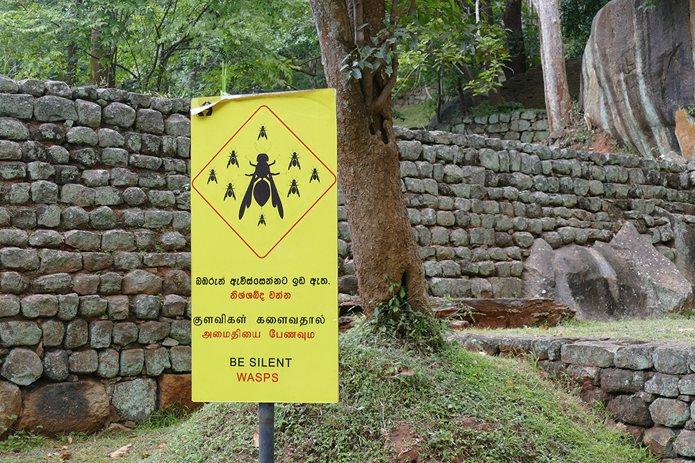 bye:myself - Renata Green - byemyselftravels: Sigiriya - Dambulla - Lionrock - Cave Temple - Sri Lanka - Asia