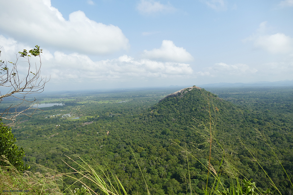 Pidurangala rock in Sigiriya Sri Lanka